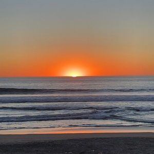 Meet your Posher, Loren